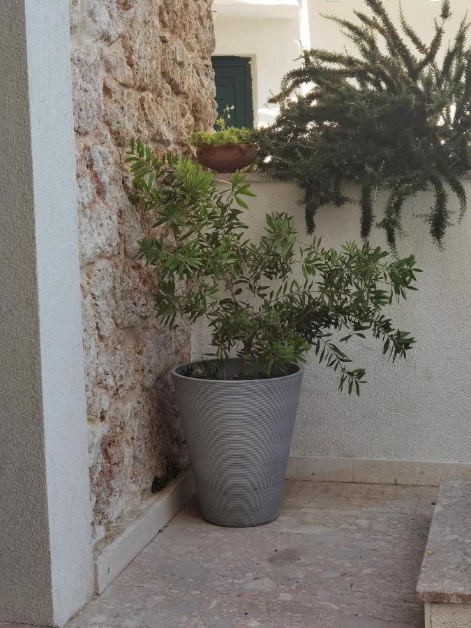 Manda Gradac Daire Gradac  Dış mekan fotoğraf